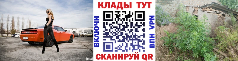 Магазин наркотиков Шуя Каннабис  Codein  Гашиш  Cocaine 