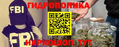 мдма Новозыбков