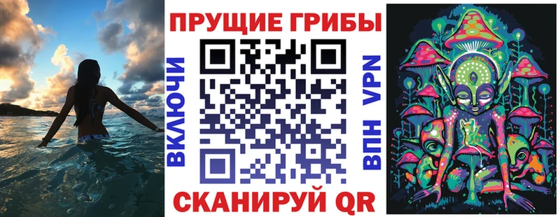 Галлюциногенные грибы GOLDEN TEACHER  omg как войти  Шуя  купить наркотики сайты 